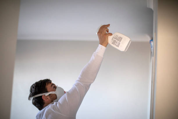 Best Same-Day Mold Removal  in Holualoa, HI
