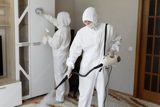Mold Removal Process in Holualoa, HI
