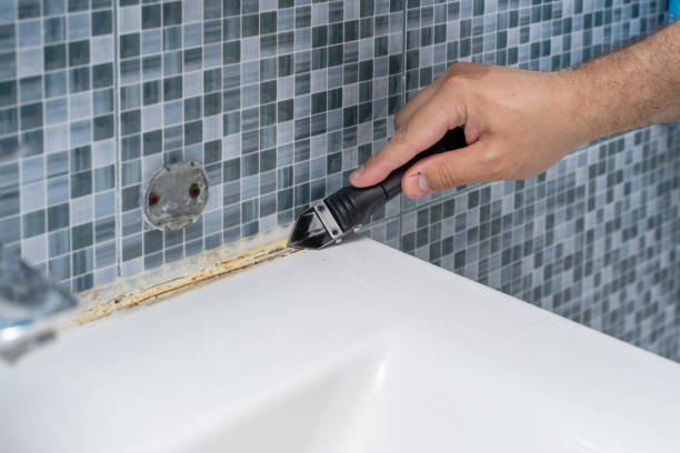 Trusted Holualoa, HI Mold Removal Experts