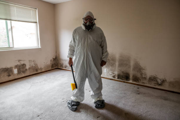 Best Affordable Mold Removal  in Holualoa, HI